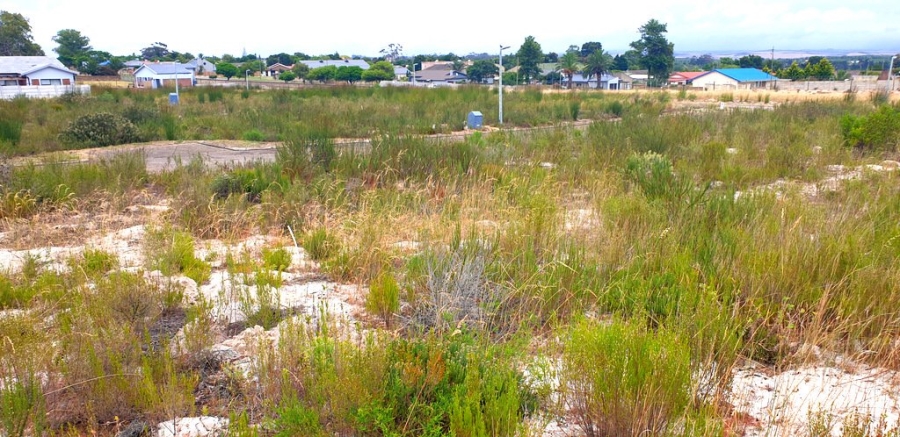  Bedroom Property for Sale in Albertinia Western Cape